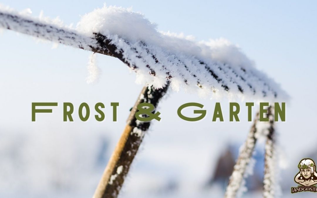 Landgeister Blogbeitrag Frost und Garten